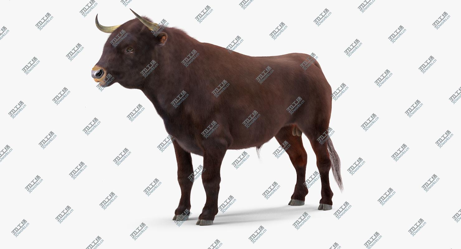 images/goods_img/202104094/3D Bull Rigged with Fur/4.jpg